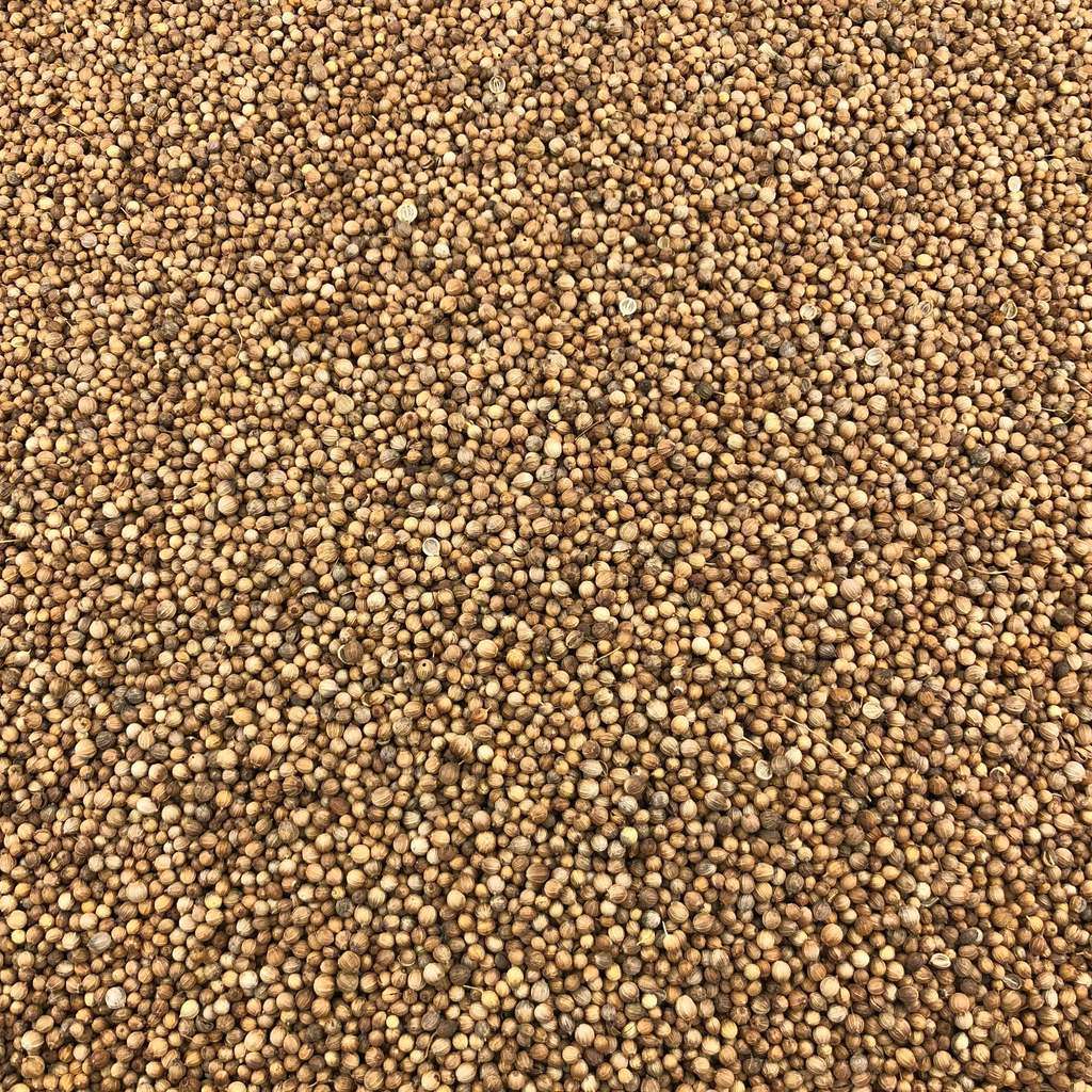 Semillas De Cilantro Bio Granel 0,5 Kg_0