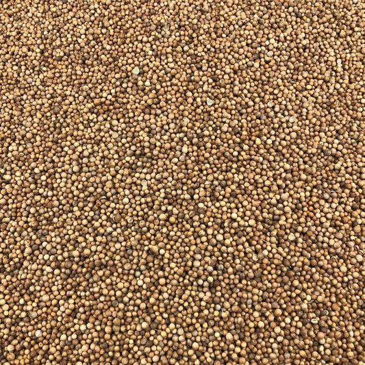 Semillas De Cilantro Bio Granel 0,5 Kg_0