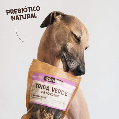 Snack Natural Tripa Verde de Cordeiro Wild Balance 100 g