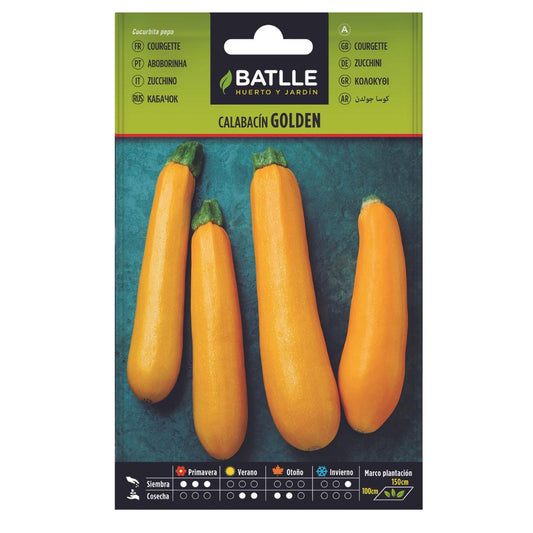 Sementes de Curgete Golden Batlle