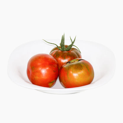 Plantón Tomate Pometa 6 Unidades - PlantaBo_1