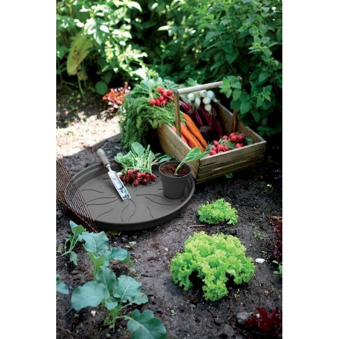 Prato de panela Green Basics Elho Antracite 17 cm