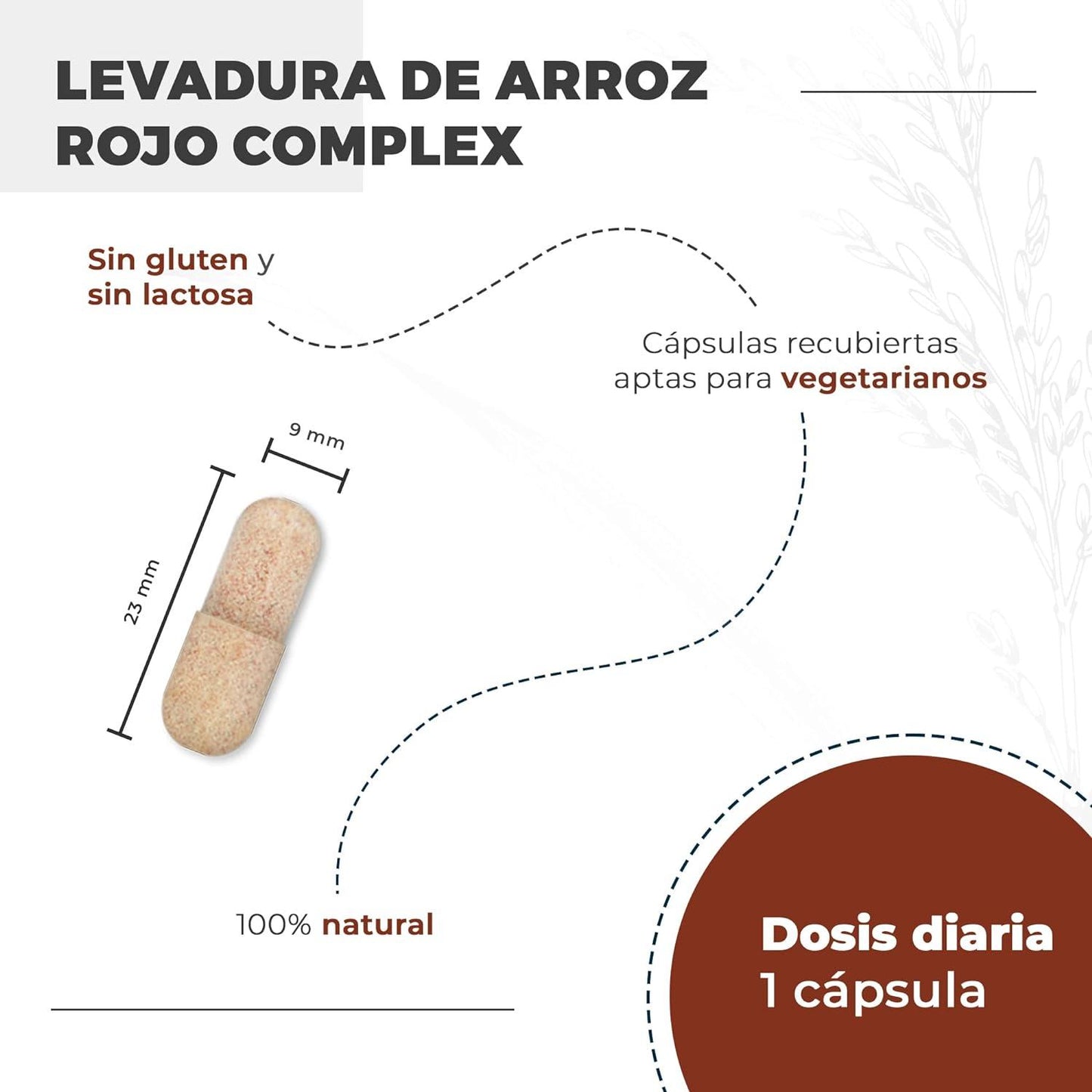 Nutralie Arroz Vermelho Fermentado com 2,9mg de Monacolina e Q10 90 Cápsulas