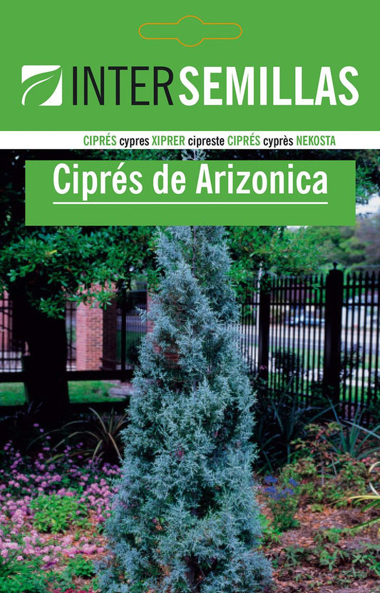 Sobre De Semillas De Cipres Arizonica_0