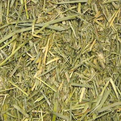Feno Timothy Beaphar Care+ para coelhos e roedores 1 kg