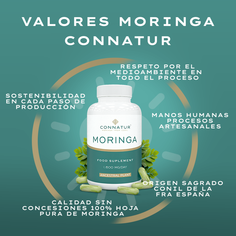 Moringa Oleifera Bio 120 Capsulas Connatur_1