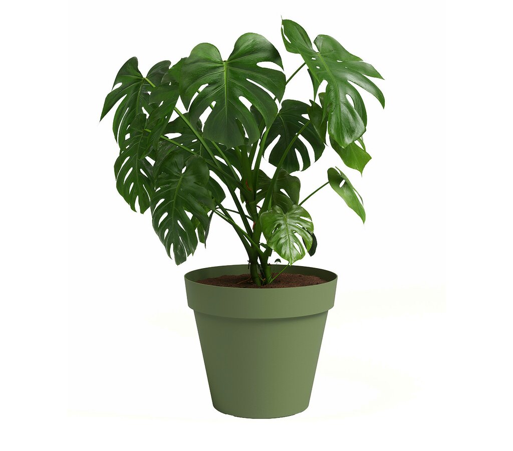 Artevasi Macetero De Plástico Capri Verde 30cm_1