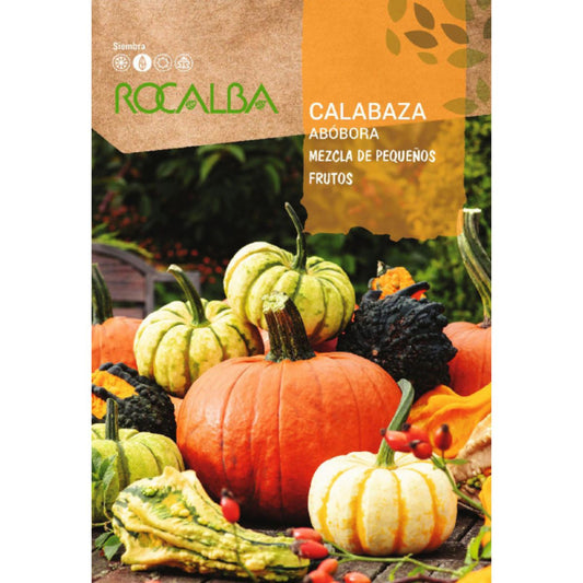 Sementes de abóbora misturadas com frutos pequenos Rocalba