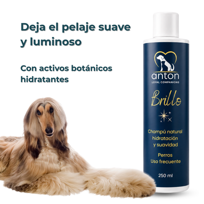 Champú natural para el cuidado del pelaje de perros – Pack 3 x 250 ml_2