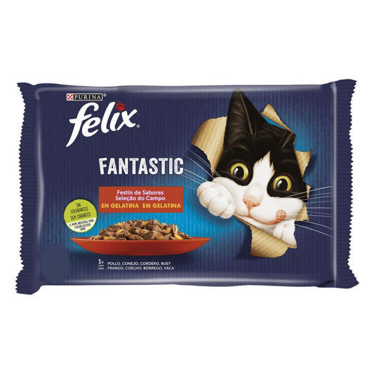 FELIX Festa Fantástica de Sabores em Gelatina 12x85g