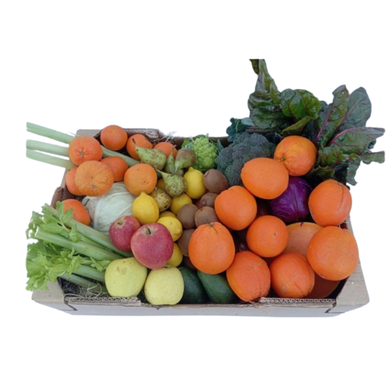 Cesta de fruta y verdura de temporada Extremadura Eco_0