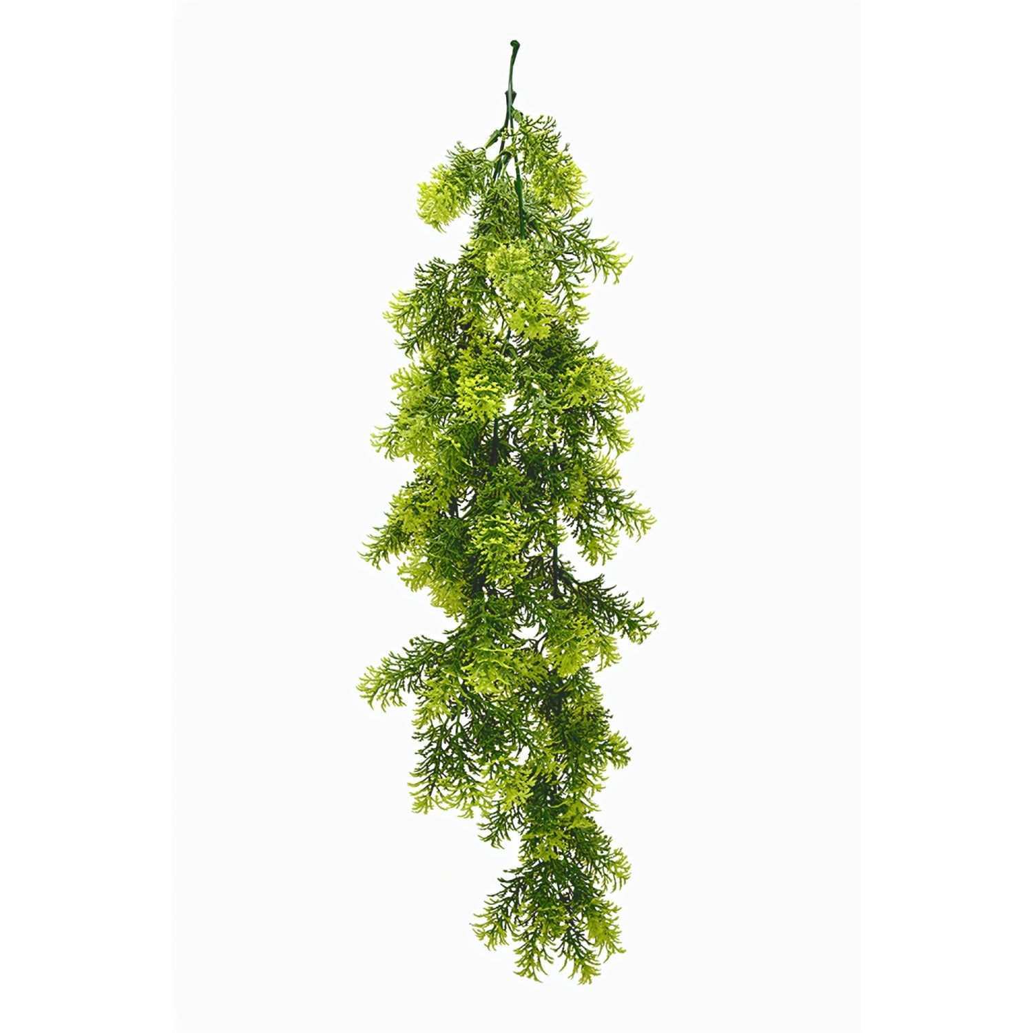 Bonerva | Planta Artificial Colgante Musgo_0