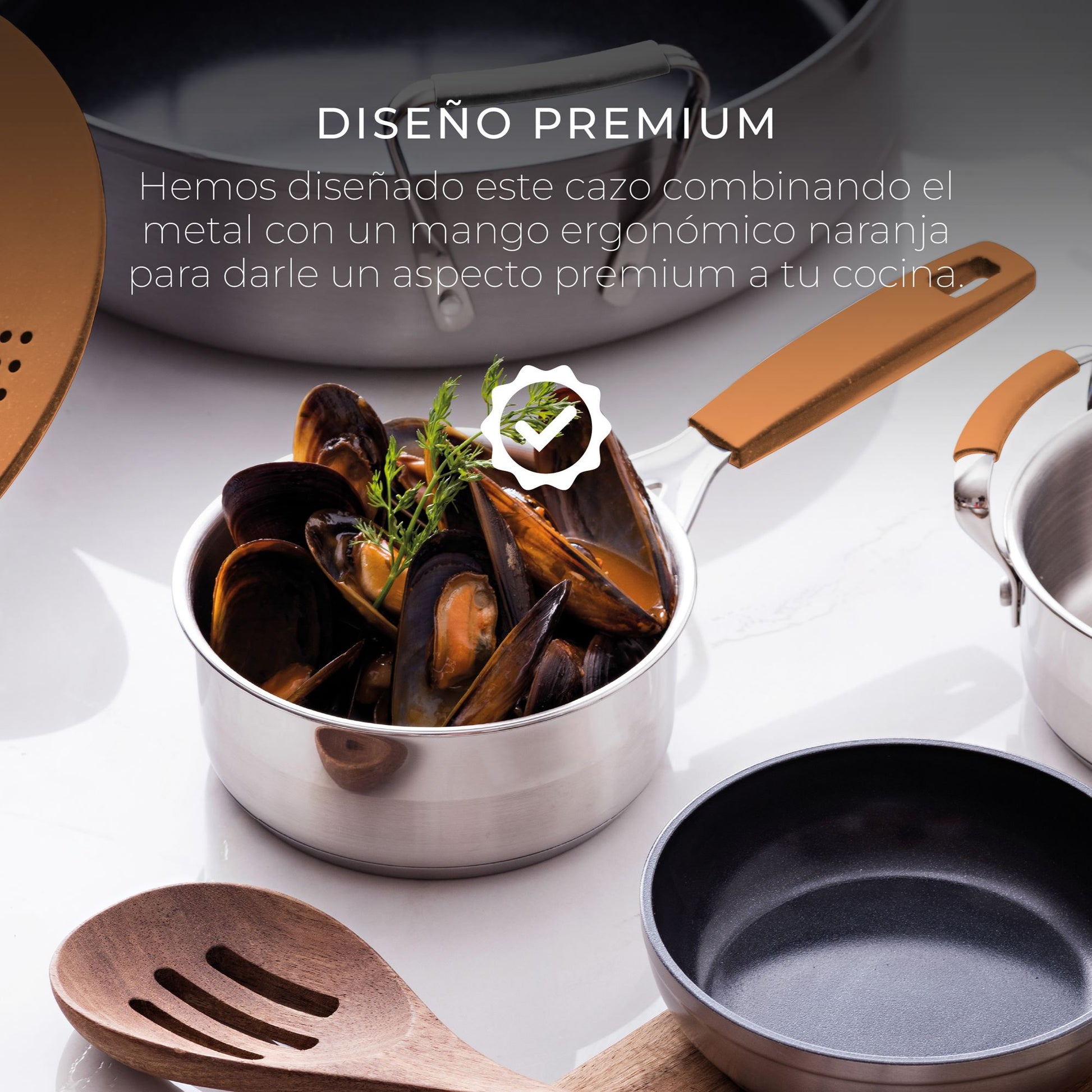 Cazo 16cm S/s Inducción Compact_3