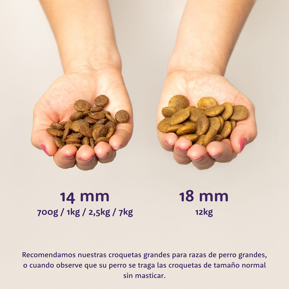 Ração Edgard &amp; Cooper Free Range Chicken para cães 7 kg