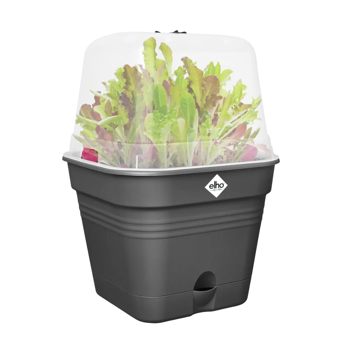 Vaso de cultivo Green Basics Elho Antracite 20 cm