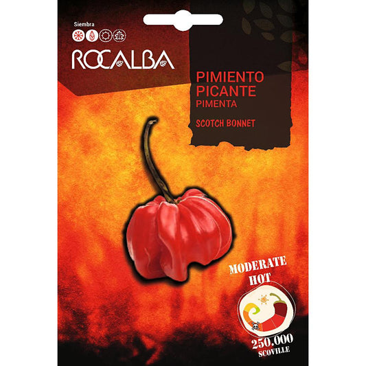Sementes de pimento Scotch Bonnet Rocalba