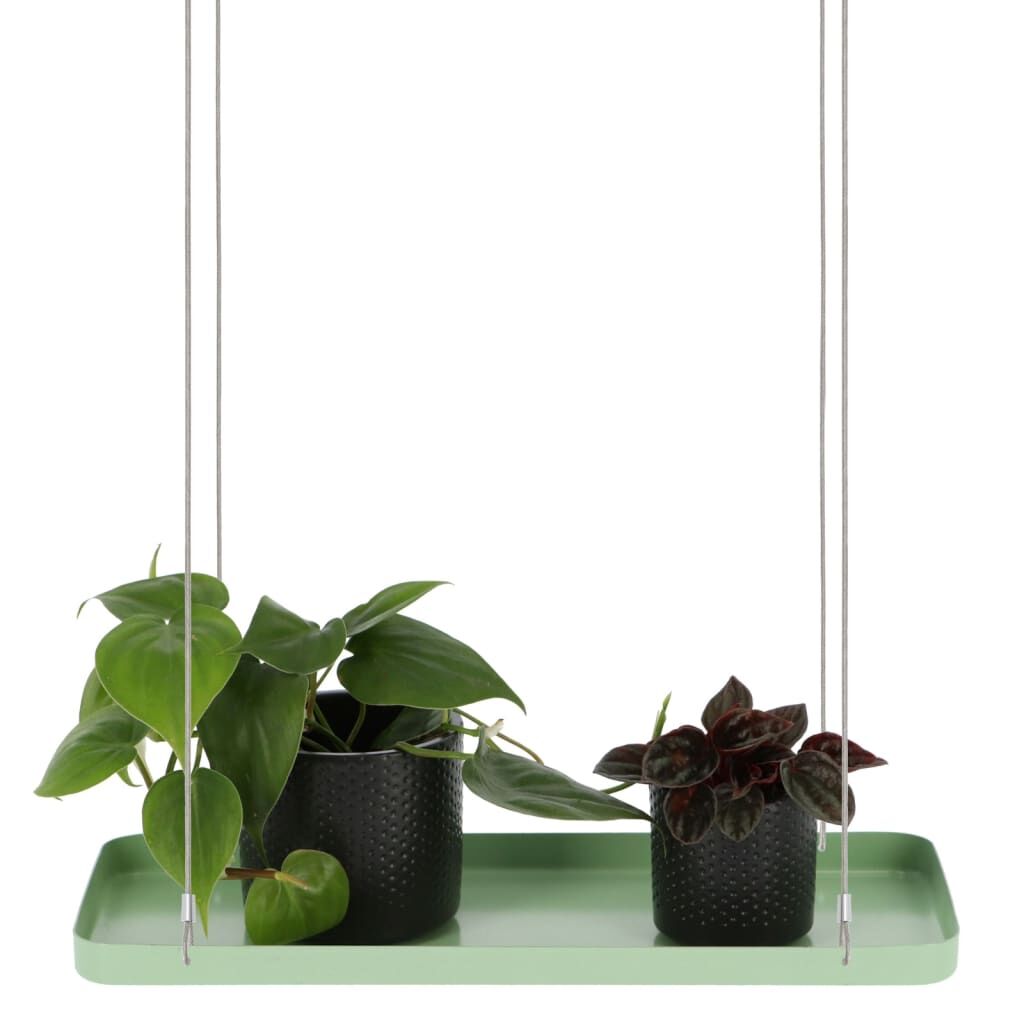 Esschert Design Bandeja Colgante Para Plantas Rectangular Verde S_2