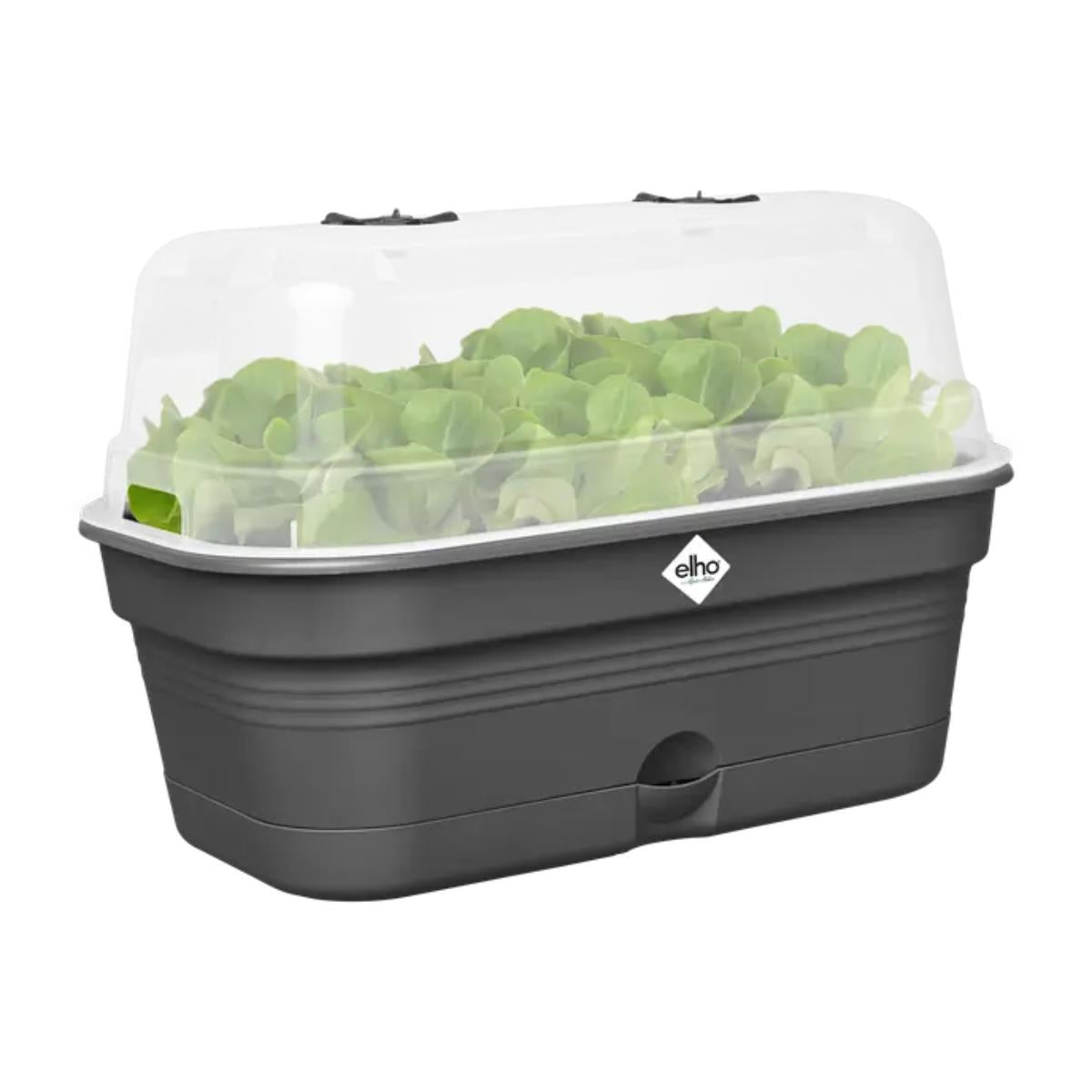 Plantador de cultivo ALLIN1 Green Basics Elho 32 cm