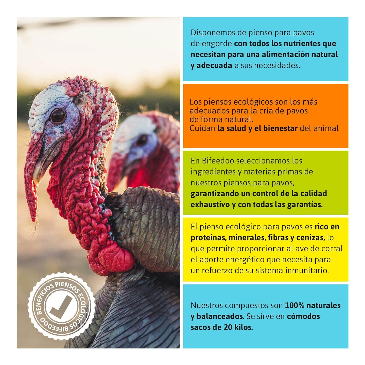 Pienso ECOLÓGICO pavos crecimiento. Saco 20kg_3