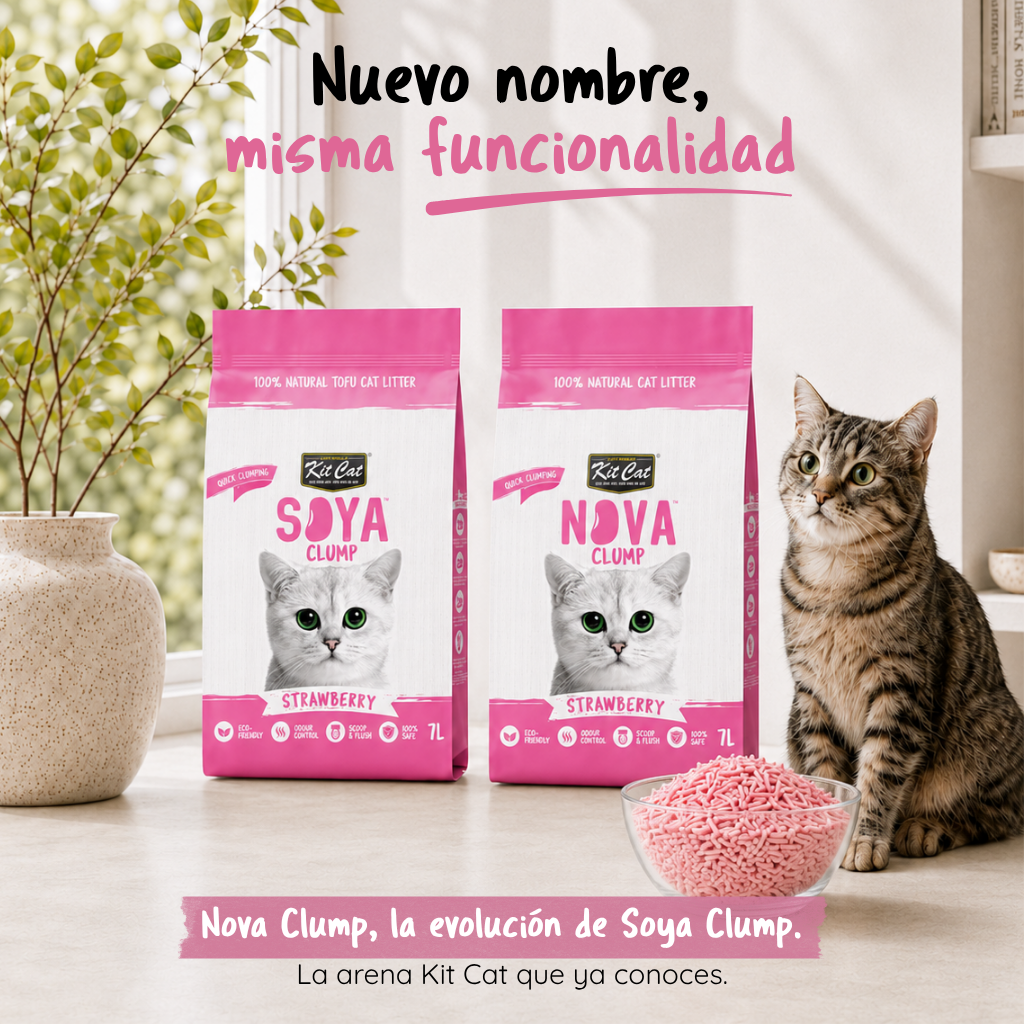 Kit de areia para gatos Eco SoyaClump - Areia para gatos morango 7 L