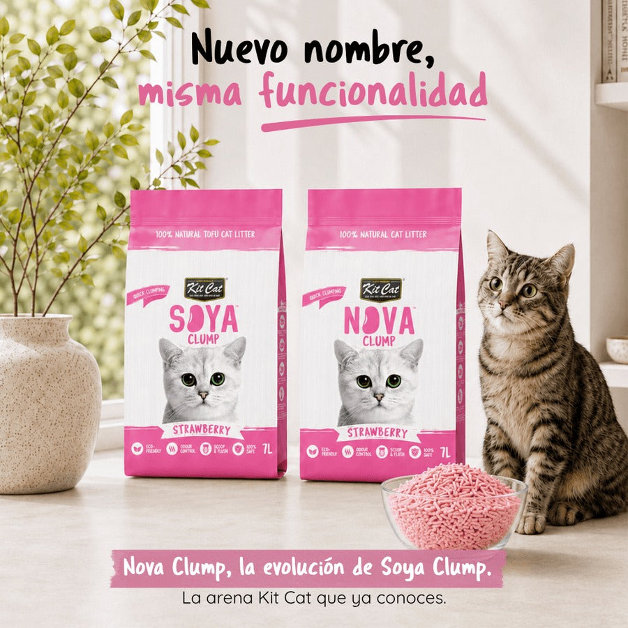 Pack de 6 Kit Cat Arena Eco SoyaClump - Areia para gatos Morango 7 L