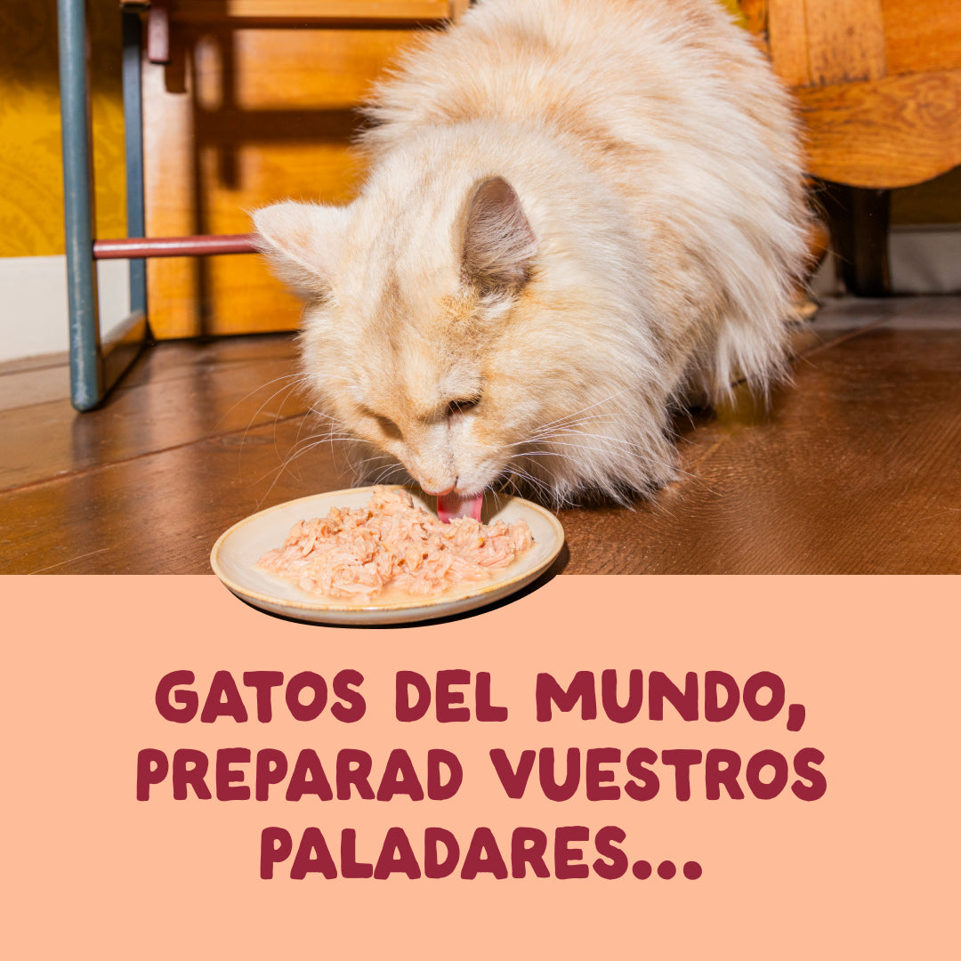 Filetes de pollo para gatos Edgard & Cooper 70 g