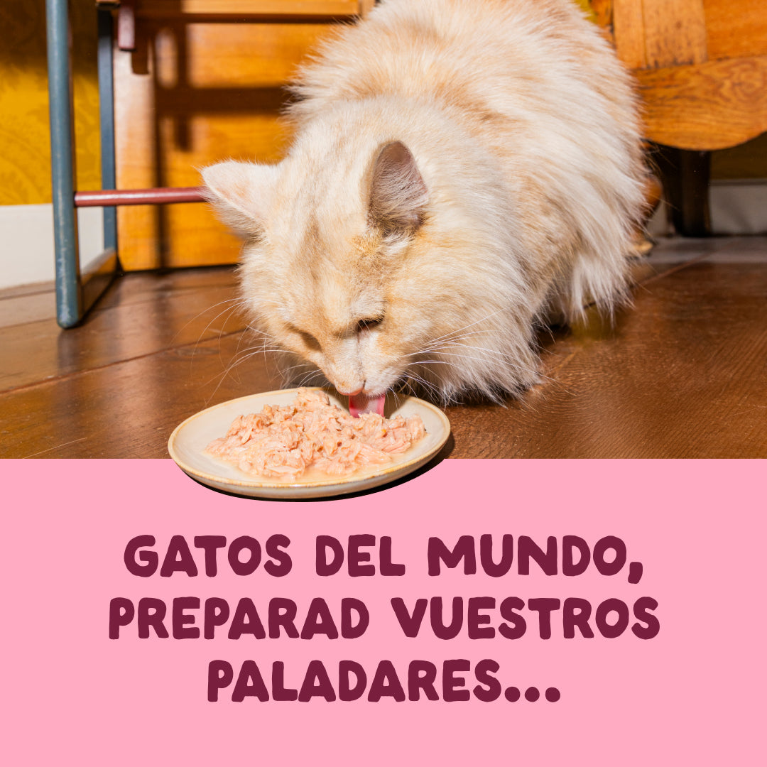 Filetes de pollo con gambas para gatos Edgard & Cooper 70 g