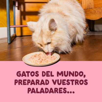 Filetes de pollo con gambas para gatos Edgard & Cooper 70 g