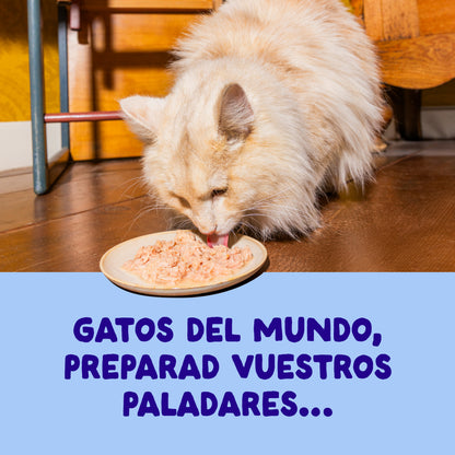 Filetes de atún con pollo para gatos Edgard & Cooper 70 g