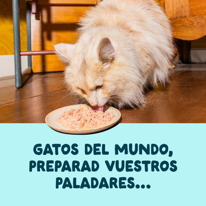 Filetes de atún con gambas para gatos Edgard & Cooper 70 g