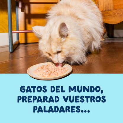 Filetes de atún con calamar para gatos Edgard & Cooper 70 g