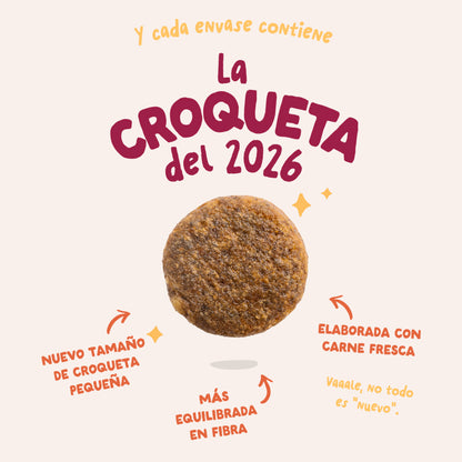Ração Edgard &amp;amp; Cooper Free Range Chicken para cães 1 kg