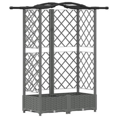 Cama Elevada Con Trellis Y Techo Gris Claro 124 X 40 X 123 Cm_0