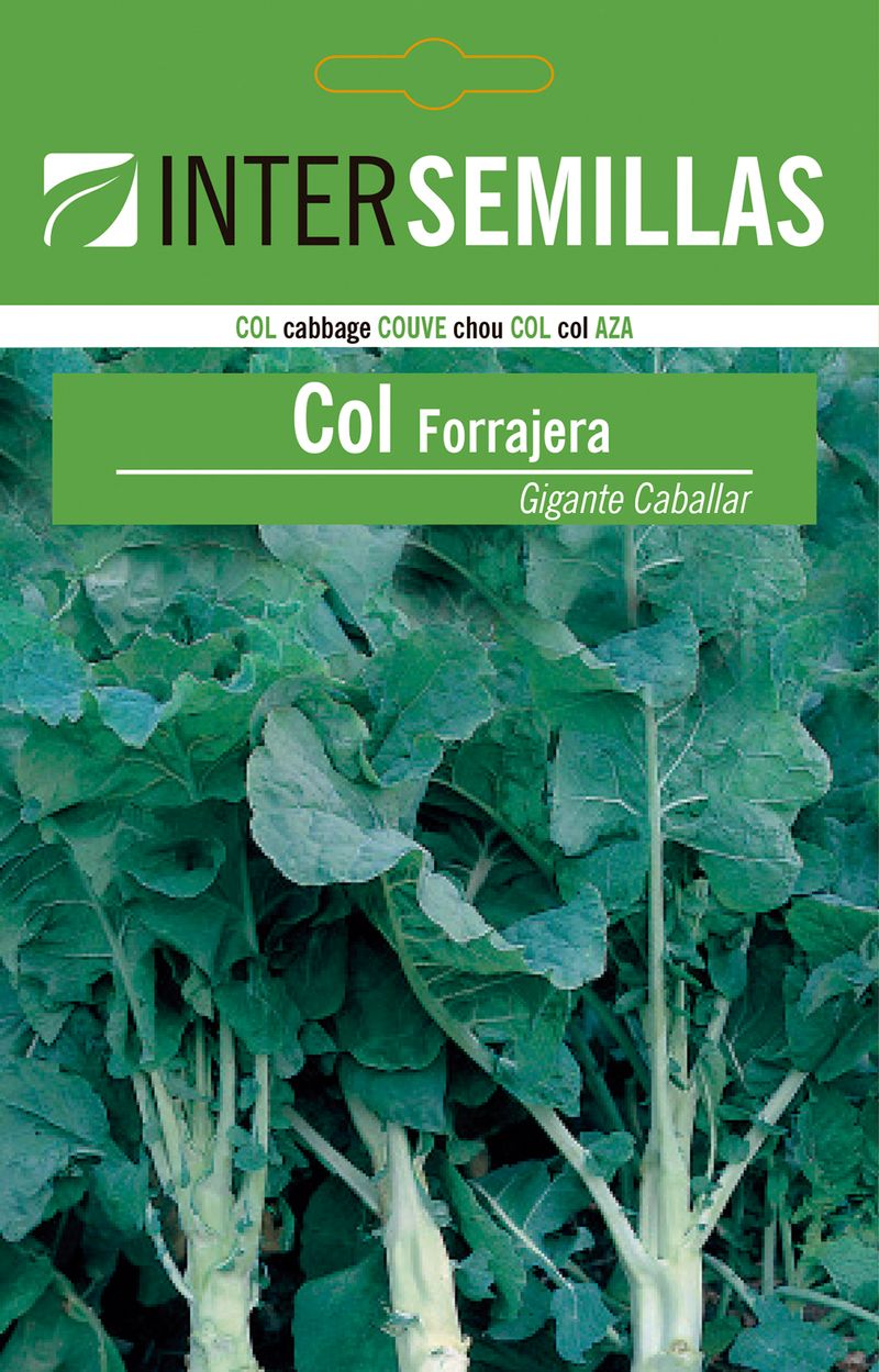 Sobre De Semillas De Col Forrajera Gigante Caballa_0
