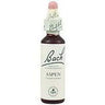 Bach 02 Aspen 20 ml (Aspen) Bach