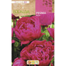 Bolbo de peónia rosa 1 unidade (2/3)