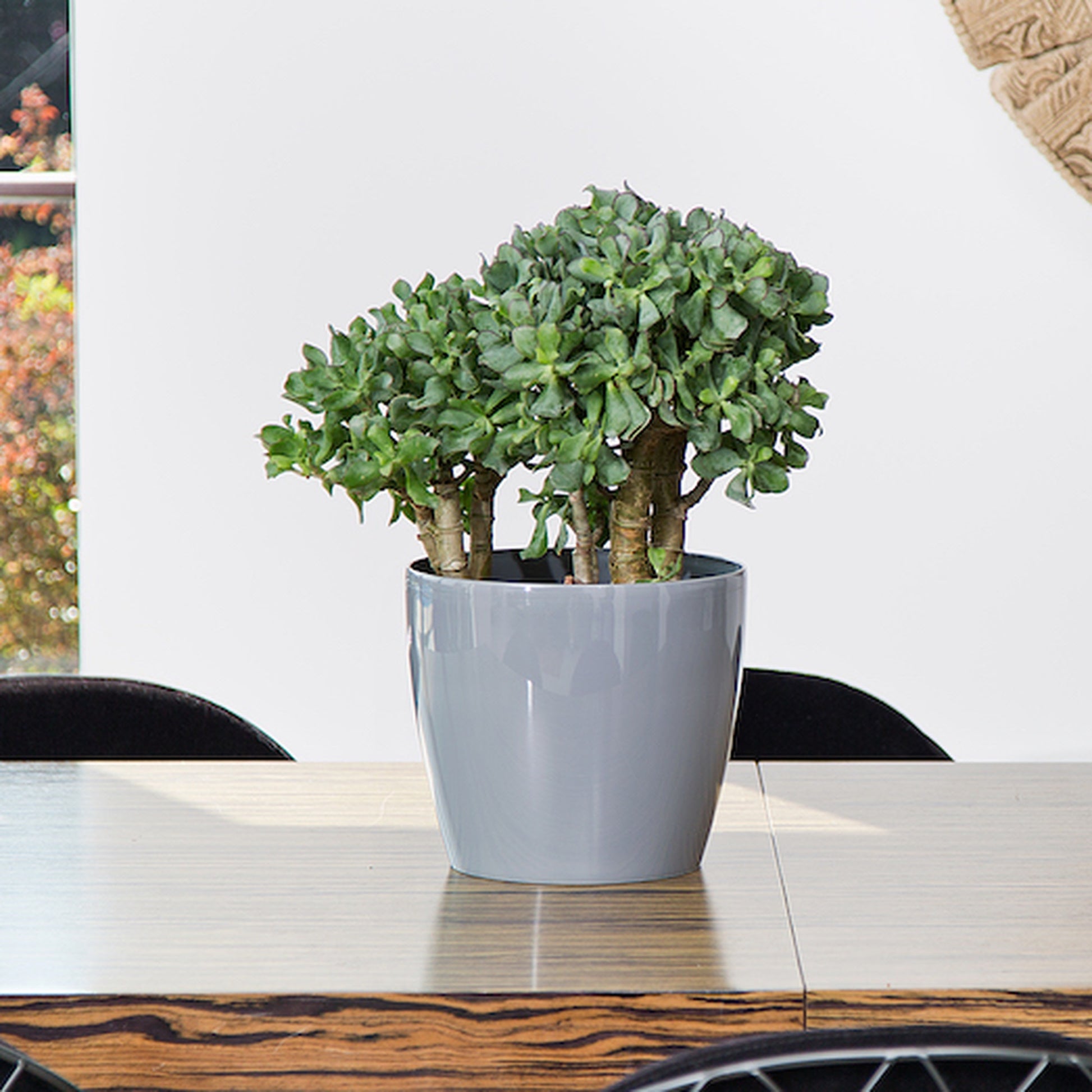 Macetero Magnolia 360 Gris