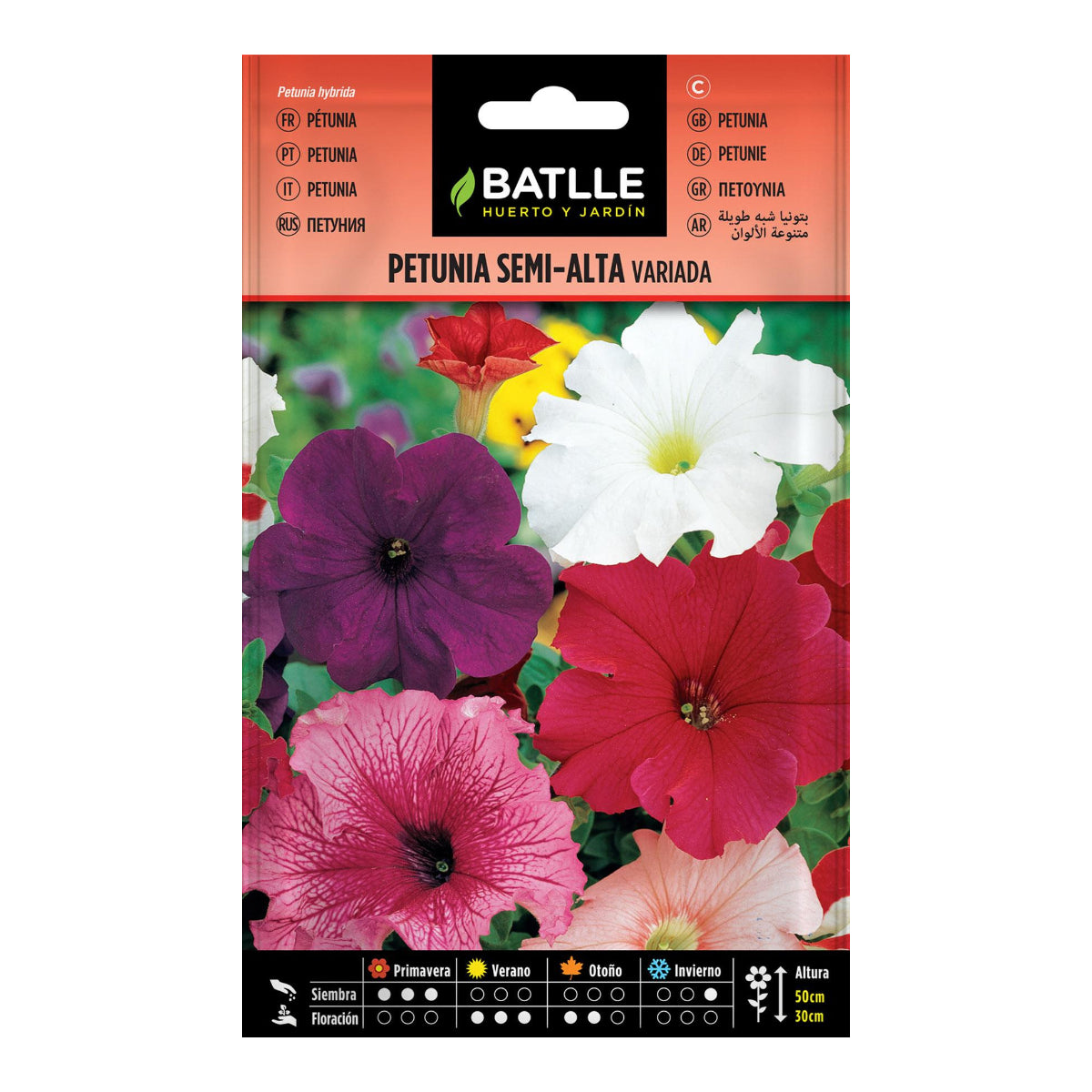 Sementes de petúnia semi-alta Batlle