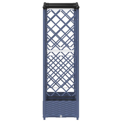 Cama Elevada Con Trellis Y Techo Gris 163 X 40 X 123 Cm Pp_3