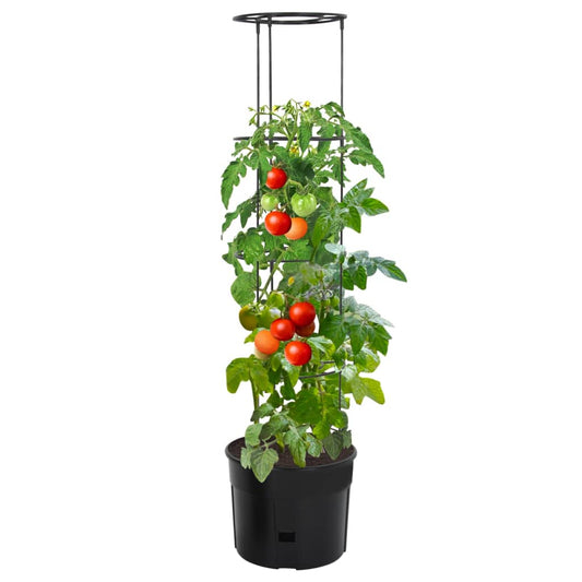 Macetero Para Tomates Polipropileno Gris Antracita Ø39x150 Cm_0