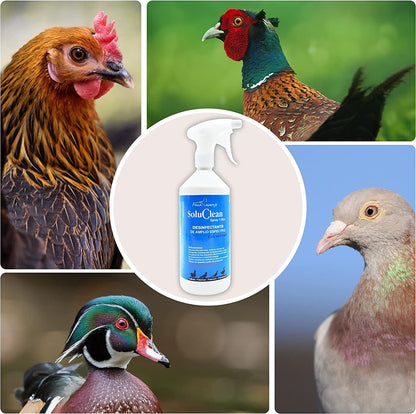 Soluclean - Limpieza De Gallineros, Perreras, Comederos Y Material - Disolver Y Limpiar Las Instalaciones (1 L)_3