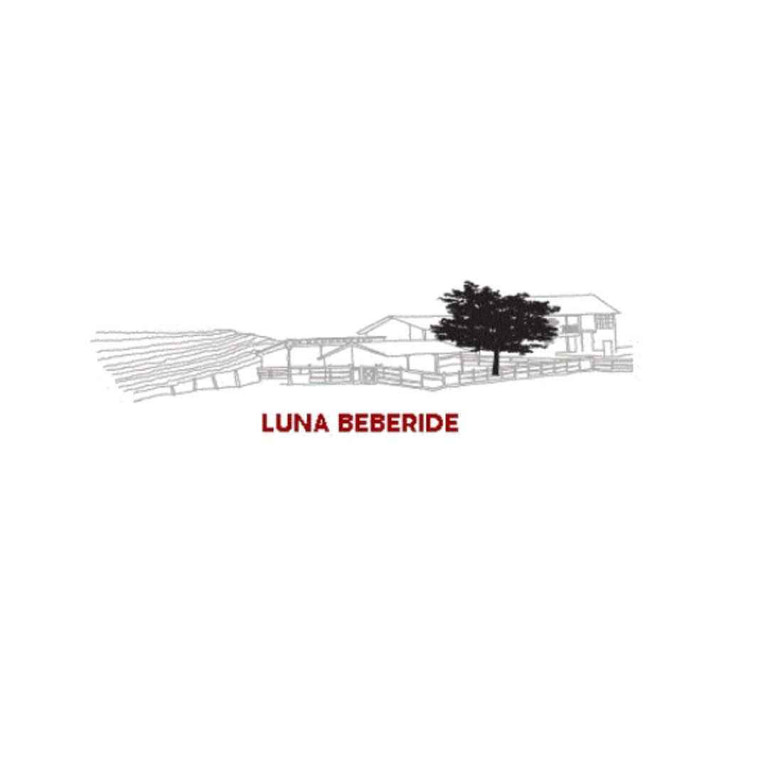 Vino Blanco - Luna Beberide Godello 2023 - Bierzo_3