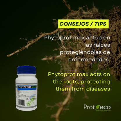 Phytoprot Max 100 ml – Prot-eco- Protección Radicular Ecológica Y Enraizamiento Vigoroso_2