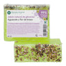 Sabonete natural de glicerina com abacate e flor de urze 100 g