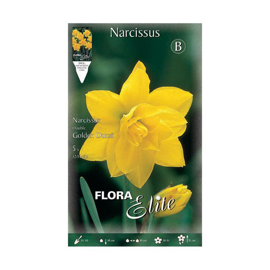 Bolbos duplos de narciso amarelo 5 unidades