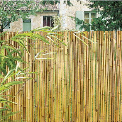 Cañizo Entero Barnizado Bambooflex 1x3 M Nortene_3