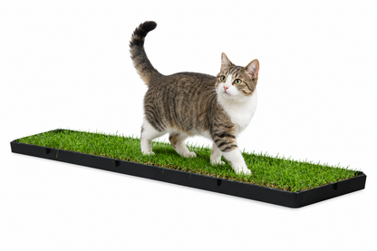 Petground, Arenero Para Gatos, Cama De Césped Natural, Hierba Gatera, Alfombra Olfativa Xl Xl: 117 X 40 Cm_0