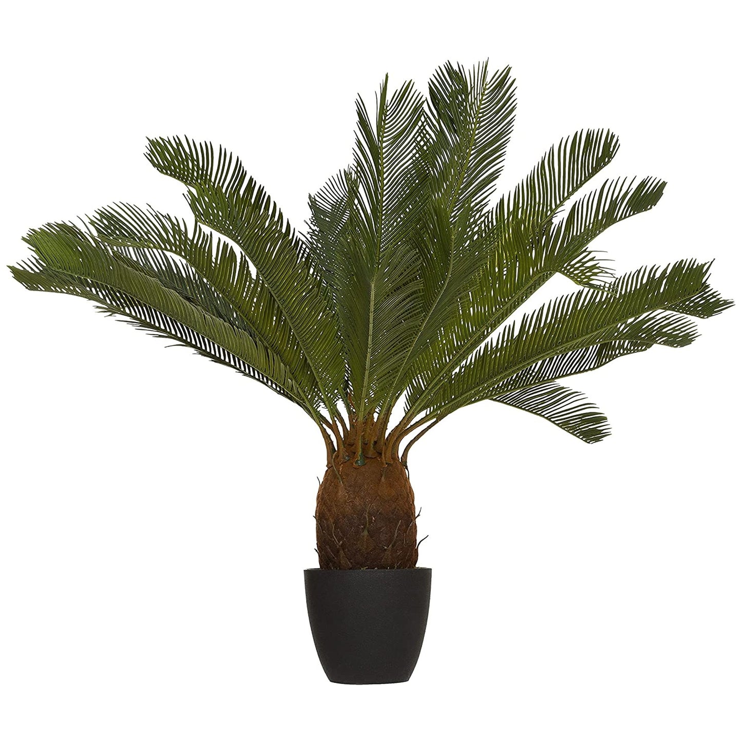 Planta De Piña Altura 93_2