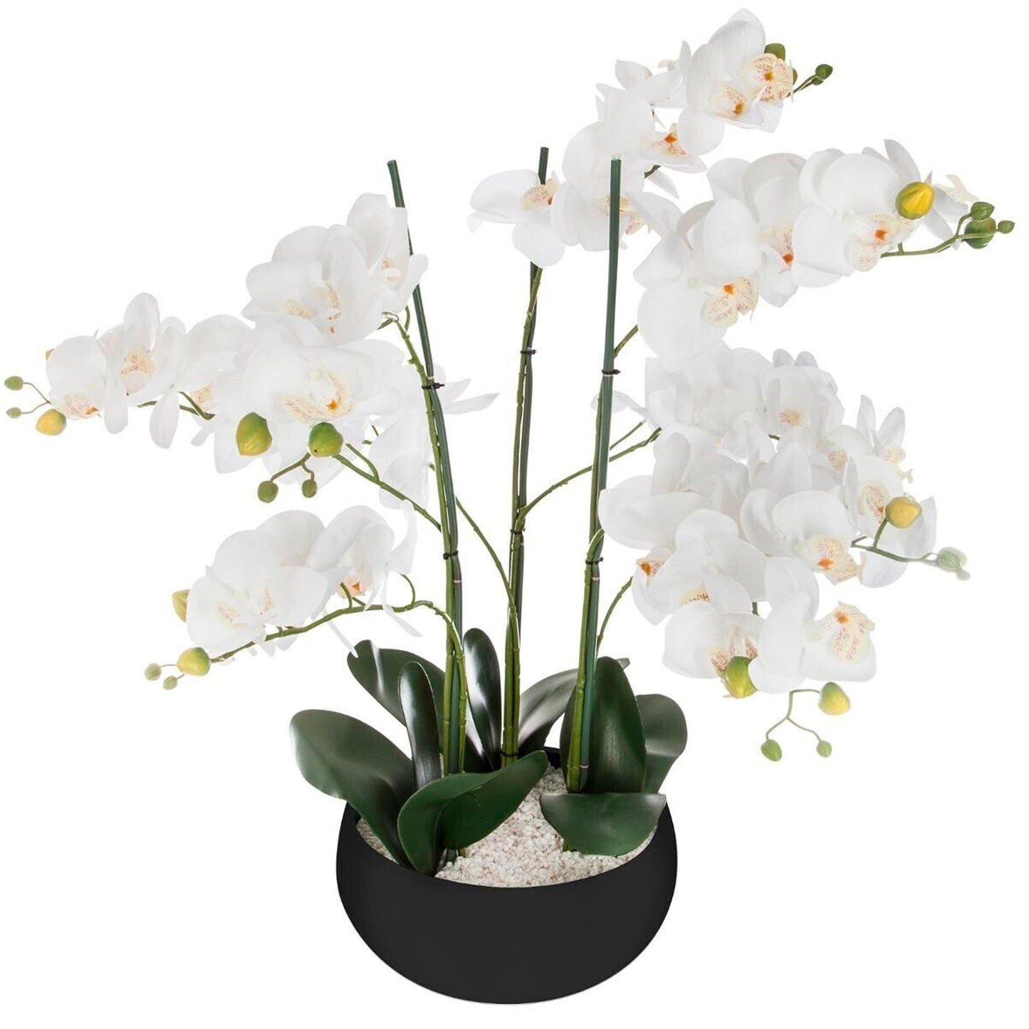 Orquídea Olla Cerámica Negro H65