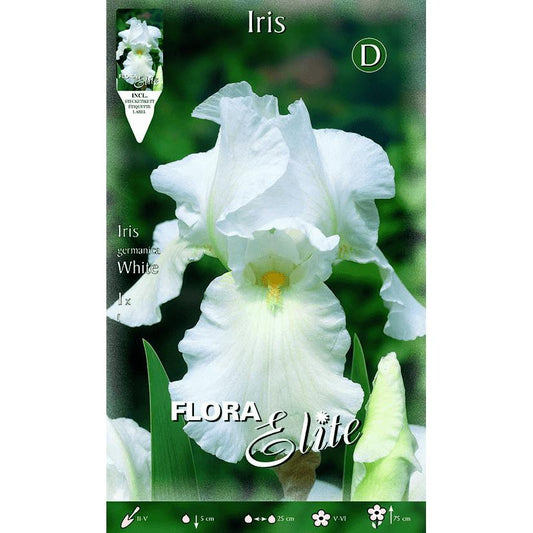 Bolbo de Íris Germânica Branco 1 unidade